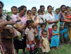 Dana Rp 165 M Ludes, Angka Stunting NTT Malah Bertambah