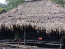 Kisah Piluh Gubuk Tua Menemani Kakek Tua 85 Tahun Tidak Dapat  Bantuan Di Sumba Timur