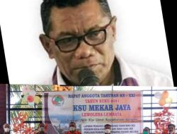 Pemda Lembata Dukung Penuh KSU Mekar Jaya