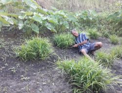 Nelis “ODGJ” Punya Kisah Hidup Menarik Sebelum Adiknya Mengajak Pulang