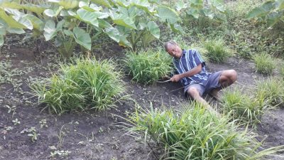 Nelis “ODGJ” Punya Kisah Hidup Menarik Sebelum Adiknya Mengajak Pulang