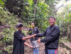 Debit Air  Kecil  “Mahasiswa KKN-MM UNIPA Bersama Warga Detubinga Lakukan  Penamaman Bambu di Mata Air    
