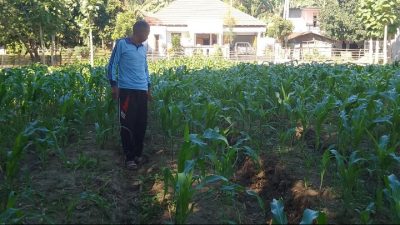 Ajakan Mantan Anggota DPRD Bertani Untuk Demi Ekonomi RT