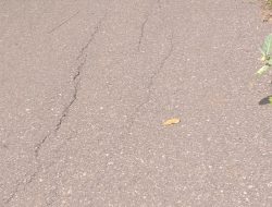 Segudang Keluhan Masyarakat Dengan Janji Mantan Bupati Flores Timur di Desa Woloklibang