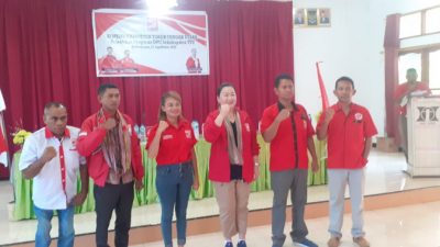 DPD PSI TTU,Optimis miliki Fraksi di DPRD TTU