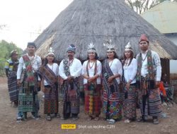 Cerita Tsea Bife Fe’u Dilakukan dari Rumah Adat Bagi Sepasang Suami Isteri di TTU