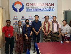 Penilaian Pelayanan Publik,Tim Ombudsman NTT Terima Kunjungan dari DPMPTSP NTT