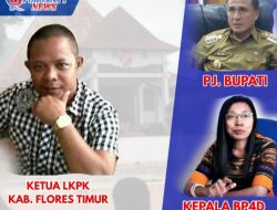 Sesat, Alasan Pengabaian Hak Nakes dalam RAPBD Perubahan 2022 oleh Pemda Flotim