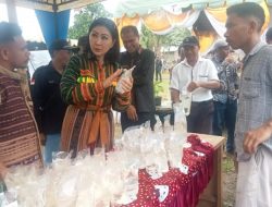 Julie Laiskodat  Dukung Penuh Perindustian Minyak Kelapa di Adonara Tengah Kabupaten Flores Timur