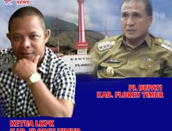 Abaikan Hak Nakes Flotim, Doris Rihi Disebut Sombong dan Arogan