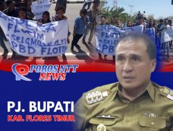 Doris Rihi Diminta Jangan Gegabah Soal Hak Nakes Flotim