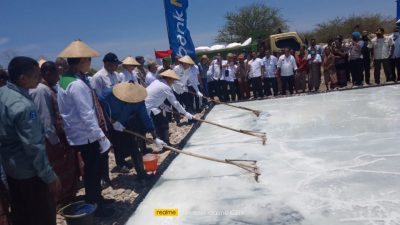 Pemerintah Pusat Dukung Produksi Garam Premium di TTU Akan Dikirim Keluar Daerah