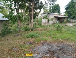 ADPRD TTU Buka Kebun Jadi Kesulitan Akses Jalan Masuk Dialamai Oleh Warga