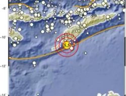 Update Terbaru Hasil Analisis Gempabumi Saat Ini Sesuai Petunjuk BMKG