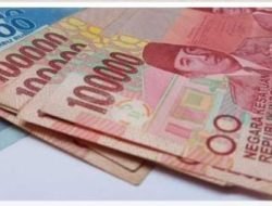 Kabar Gembira Diawal Tahun 2023, Setiap Anak Balita Dapat Rp.3 juta