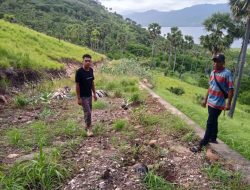 Pulau Solor Ada Desa Alami Krisis Sumber Air Bersih Dan Akses Jalan Yang Sulit