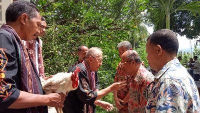 Sebelum Maju Pilkada Flotim 2024, Lukman Riberu Bersama Wakilnya Minta Restu Dari Raja Larantuka