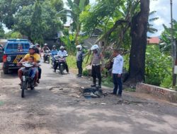 Kanit Patwal Satlantas Polres Flotim Bersama Anggota dan Dishub Survei Jalan Alternatif