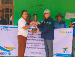 Dukung Desa Hijau, PLN  Tanam 230 Pohon