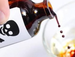 Maraknya Aktivitas Meracuni Ikan di Lembata, Warga Mulai Curiga dengan Nelayan Luar