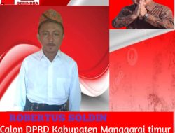 Partai Gerindra Usung Robertus Soldin Calon Legislatif Terbaik Dapil IV Kabupaten Manggarai Timur