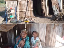 Kakek 80 Tahun di Maubeli, Kefamenanu Kabupaten TTU Luput dari Pantauan Pemerintah dan Tidak Menerima Bantuan