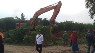Pembersihan Areal HGU No.94 PTPN 2 Kebun Limau Mungkur Berlangsung Kondusif