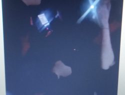 Video Viral! di Kota Kupang,Suami Teriak,Kau Akan Kena Pecat, Saat Tangkap Istrinya Bersama Kawan Sekantor