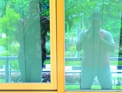 Teka Teki Kehidupan Dibalik Kaca