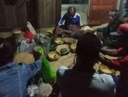 Simak Tradisi Syukuran Hasil Panen Padi oleh Suku Babotuk di Kabupaten Belu
