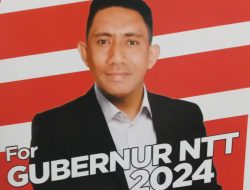 Frans Aba: Pengetahuan Politik sebagai Modal dan Basis Strategi pada Pembangunan yang Inklusif dan Inovatif