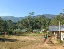 Sangat Miris dan Berisiko, Kampung Topak Gunakan Bambu Jadikan Tiang Listrik dan Pihak PLN Berhenti Disurvei