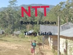 Di NTT Masih Ada Kampung Gunakan Bambu sebagai Tiang Listrik