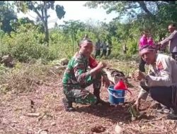 Kapolsek Adonara Barat Laksanakan Penanaman 100 Pohon