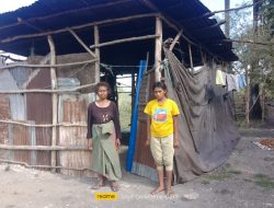 Berita Terkini: Kehidupan Penuh Perjuangan Janda Beranak Lima di Kota Kefamenanu