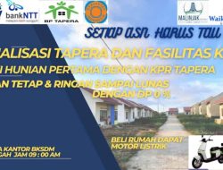 Kadin dan REI NTT Gandeng Bank BTN dan Bank NTT Sosialisasikan TAPERA dan KPR untuk ASN dan Swasta