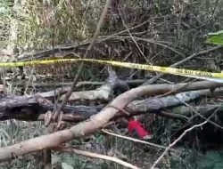 Diduga Batal Wisuda, Mahasiswa Ini Akhiri Hidup di Jembatan Liliba