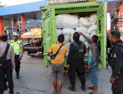 Operasi Polres Kupang Sita 16 Parang Sumba dan Ratusan Liter Miras di Pelabuhan Bolok