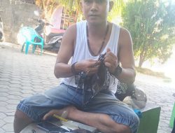 Aris Ndun Guru Honor Sulap Keahliannya dalam Memperbaiki Komputer