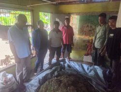 Hasil Pembuatan Bokashi oleh Mahasiswa Politani di Desa Wure