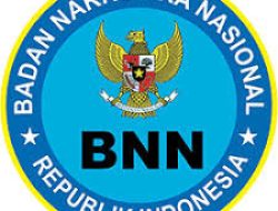 BNN Buka Lowongan Kerja 2024 untuk Lulusan SMA/SMK/D3, Beragam Posisi Tersedia