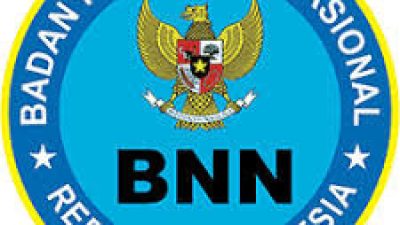 BNN Buka Lowongan Kerja 2024 untuk Lulusan SMA/SMK/D3, Beragam Posisi Tersedia