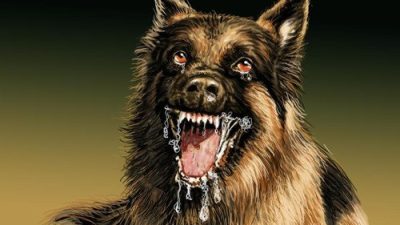 Berita Terkini: RSUD Kefamenanu Respons Cepat Hadapi Krisis Kasus Rabies di TTU