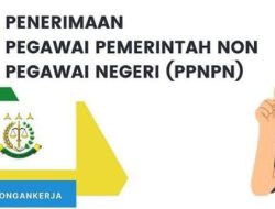 Jangan Lewatkan Kesempatan Bagi Lulusan SMP, SMA/SMK, D3 dan Sarjana untuk PPNPN Kejaksaan Negeri