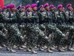 Rekrutmen Calon Bintara PK TNI AL Gelombang 1 Tahun 2024 Telah Dibuka