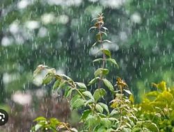 Terbaru!! Peringatan Dini Potensi Hujan Lebat dan Cuaca Ekstrem di NTT