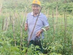 Tokoh Inspirator Pertanian, Sukses Menata Tanaman Hortikultura di TTU