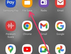 Ternyata Cara Mudah Hapus File Sampah di “Internal” WhatsApp yang Sering Buat Penyimpanan Penuh