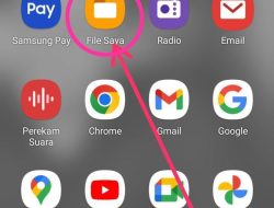 Berikut Cara Bersihkan File Sampah “Case” di Folder WhatsApp di Semua HP Android