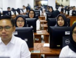 Peluang Menjanjikan bagi Fresh Graduate pada Seleksi CPNS 2024